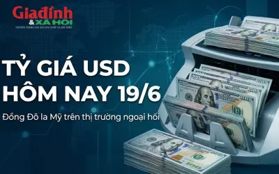 Tỷ giá USD hôm nay 19/6: Đồng đô la Mỹ chững giá sau chuỗi tăng liên tiếp