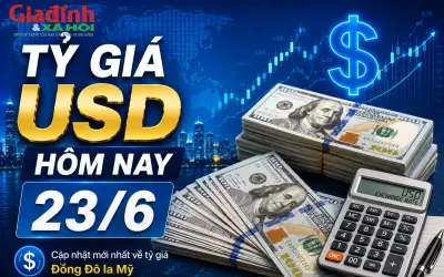 Tỷ giá USD hôm nay 23/6: Biến động trái chiều tại ngân hàng và chợ đen
