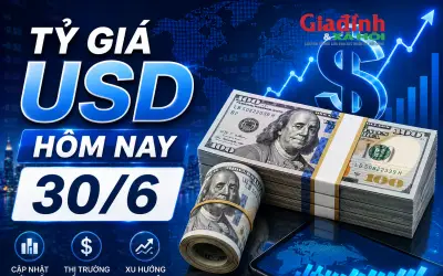 Tỷ giá USD hôm nay 30/6: Đô la Mỹ thị trường tự do tăng bất ngờ