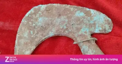 Thẩm định hơn 125 hiện vật văn hóa Đông Sơn nghìn năm tại Nghệ An