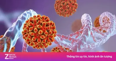 Thuốc Bepirovirsen mở ra hy vọng chữa khỏi chức năng viêm gan B