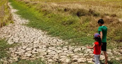 Tin tức đặc biệt trên báo in Thanh Niên 16.6.2026: Siêu El Nino, xác thực thuê bao, tìm mộ liệt sĩ