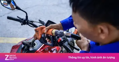 Tìm xăng E5 ở đâu tại TP.HCM? Ứng dụng 'Quanh tôi' hỗ trợ tra cứu