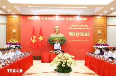 Tổng Bí thư, Chủ tịch nước Tô Lâm chỉ đạo Ban Chỉ đạo đối ngoại phát huy vai trò chiến lược