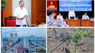 Tổng Bí thư Tô Lâm làm việc với Ban Tổ chức Trung ương về xây dựng Đảng