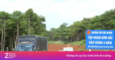 Tập đoàn Sơn Hải tuyển hơn 140 nhân sự cho dự án hạ tầng trên toàn quốc