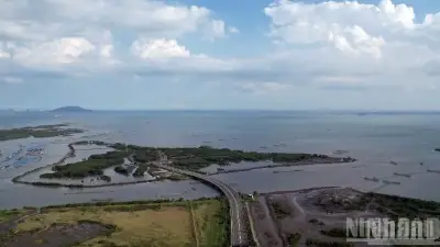 TP.HCM thành lập Ban Chỉ đạo Khu thương mại tự do với 24 thành viên