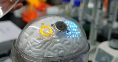 Trung Quốc phê duyệt thương mại giao diện não-máy tính NEO, vượt Neuralink của Elon Musk