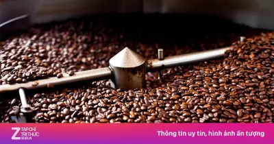 Tất tần tật về cà phê: Hành trình khám phá hương vị từ rang đến pha