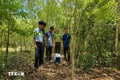 Tây Ninh thả cá thể tê tê Java quý hiếm về lại môi trường tự nhiên