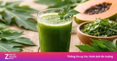 Uống nước lá đu đủ có tác dụng gì? Lợi ích và lưu ý an toàn