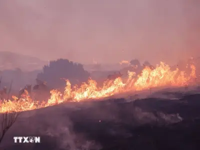 Utah ban bố tình trạng khẩn cấp do cháy rừng lan nhanh