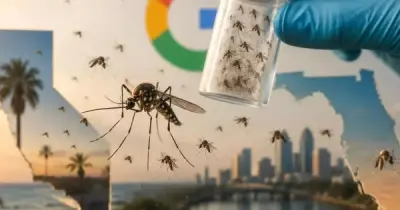 Vì sao Google xin thả 32 triệu con muỗi mang vi khuẩn ra môi trường?