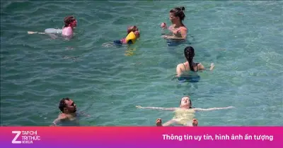 Vi khuẩn 'ăn thịt người' Vibrio ở châu Âu: Nguy cơ từ nắng nóng kỷ lục