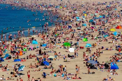 Vi khuẩn 'ăn thịt người' Vibrio vulnificus lan rộng ở châu Âu giữa đợt nắng nóng