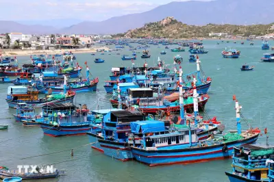 Vi phạm thủy sản có thể bị phạt tới 2 tỷ đồng từ ngày 18/8