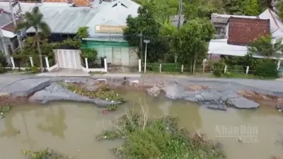 Video: Ưu tiên bố trí nguồn lực phòng chống sụt lún, sạt lở ở ĐBSCL
