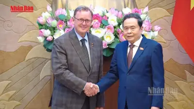 Video Việt Nam-Đức chia sẻ kinh nghiệm lập pháp chuyển đổi số