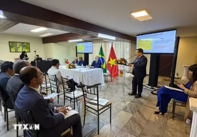 Việt Nam và Brazil tăng cường hợp tác năng lượng tái tạo