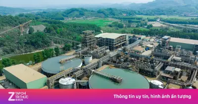 Vonfram trở thành khoáng sản chiến lược, làn sóng tái định giá nguồn cung ngoài Trung Quốc