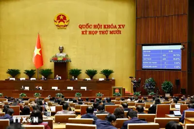 Xử lý triệt để tình trạng chậm ban hành văn bản quy định chi tiết luật