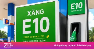 Xăng E10 để lâu có bị tách nước? Thời gian bảo quản an toàn là bao lâu?