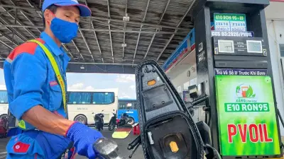 Xăng E10 sau 1 tháng: 800 triệu lít tiêu thụ, thị trường vận hành thông suốt