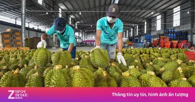 Xuất khẩu sầu riêng tươi và đông lạnh dẫn đầu ngành rau quả Việt Nam