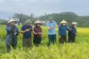 122 cán bộ không chuyên trách trúng tuyển công chức tại Nghệ An