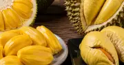 4 loại trái cây người mỡ máu cao nên hạn chế ăn