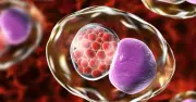 5 dấu hiệu cảnh báo nhiễm Chlamydia ở phụ nữ cần biết sớm