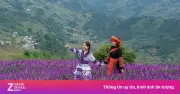 5 lý do khiến du khách muốn xách ba lô và đến Sa Pa mùa hè này