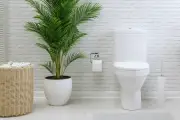 5 thứ không nên dùng để cọ bồn cầu, chuyên gia cảnh báo tránh xa