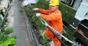 50 năm ngành điện TP.HCM: Câu chuyện người thợ điện và cuộc thi 220 triệu