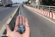 60 câu điểm liệt thi lý thuyết lái xe: Phần 1 - Những điều cần biết