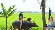 66 năm du lịch Việt: Từ dịch vụ đối ngoại thành ngành kinh tế mũi nhọn