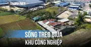 7 hộ dân Quảng Ngãi 'sống treo' hơn 7 năm chờ đền bù đất KCN Tịnh Phong