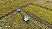 Đưa Đồng Tháp vươn lên nhóm dẫn đầu vùng Đồng bằng sông Cửu Long