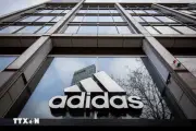 Adidas gặp sự cố hi hữu vì sức hút của dàn sao tuyển Đức