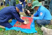 An Giang khai quật hơn 30.000 mộ liệt sỹ lấy mẫu ADN