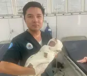 An Giang: Sản phụ sinh con trên xe được quân y cấp cứu kịp thời