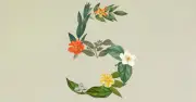 Anthropic ra mắt Claude Sonnet 5: Hiệu năng gần bằng Opus, giá chỉ một nửa