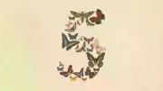 Anthropic ra mắt Fable 5: Phiên bản AI mạnh nhất dành cho công chúng
