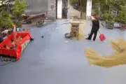 Bể bơi tự chế vỡ, nước tràn sân thóc khiến ông bà dở khóc dở cười