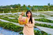 Bà chủ vườn thu tiền triệu mỗi ngày nhờ bán hàng 