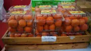 Bộ Công thương bắt buộc truy xuất nguồn gốc hàng hóa rủi ro cao từ 1/7/2026