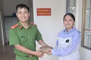Bé gái Lâm Đồng giao nộp rùa vàng quý hiếm cho công an