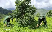 Bộ đội Biên phòng đồng hành xây dựng nông thôn mới vùng biên