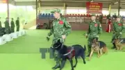 Bộ đội Biên phòng Việt Nam góp sức cứu nạn tại Venezuela