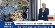 Bí mật 1.000 tấn giá đỗ 'ngậm' nước kẹo và bê bối Liên đoàn Cờ Việt Nam